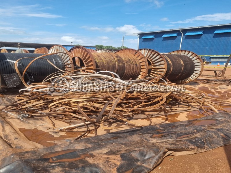 WhatsApp Image 2025-11-07 at 12.53.58 PM (1).jpg